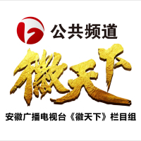 合肥市滁州商会换届大会召开 金鹏控股集团董事长孙元武当选会长