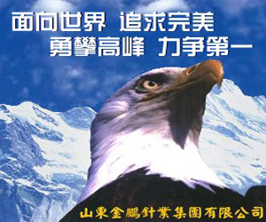 山东金鹏针业集团