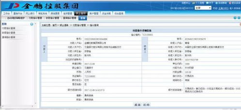 金鹏控股集团资金管理系统 一期 正式上线