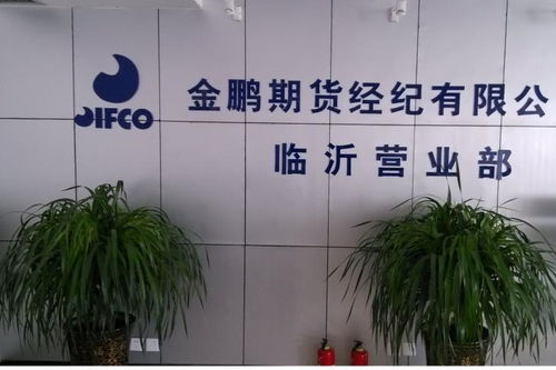 金鹏期货经纪