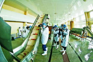 内蒙古 乌兰浩特市 红都网