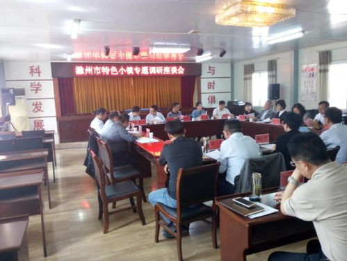 金鹏控股集团董事长一行参加滁州市特色小镇专题调研会