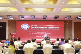 金鹏控股集团荣膺安徽省民营企业双项殊荣