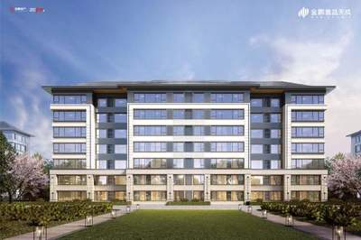 万人跑“马”金鹏见证 | 2019环大圩马拉松圆满落幕，金鹏集团鼎力支持