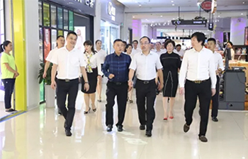 徐州市丰县领导一行莅临金鹏控股集团考察调研，共话合作发展新机遇