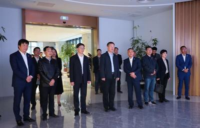 南谯区人民政府与金鹏控股集团成功举行战略合作项目签约仪式